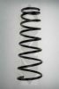 SPIDAN 56474 Coil Spring